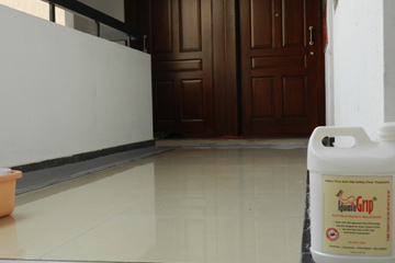 IguanaGrip Opportunity